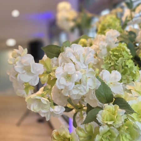 Größeres Bild ansehen